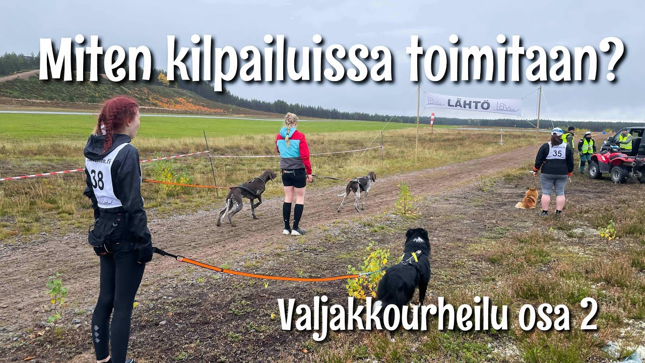 MITEN KILPAILUISSA TOIMITAAN? - Valjakkourheilu/osa 2 - YouTube