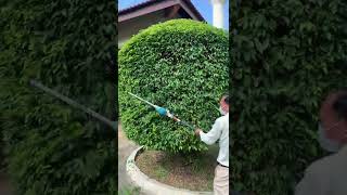 Makita DUN500W 18V LXT Brushless 500mm Pole Hedge Trimmer #shorts