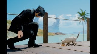 Final Fantasy XV Noctis searches food for a cat