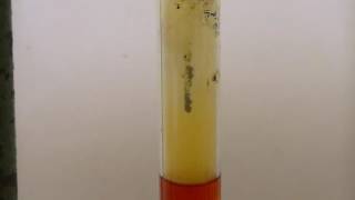 Phosphorus Chemistry: PBr5 formation