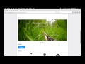 Material Design WordPress Theme