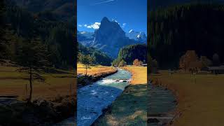 Switzerland Beautiful Place Part-187 #shorts #switzerland #trending #switzerlandwalkingtou9