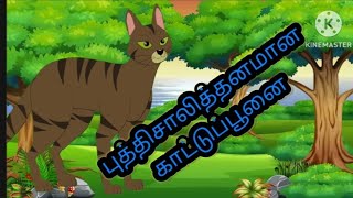 புத்திசாலித்தனமான காட்டுப்பூனை