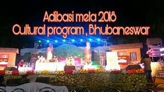 Adibasi mela 2018 Bhubaneswar