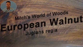 European Walnut - Mitch's World of Woods ( juglans regia )