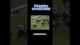 【唯一無二の万能馬】ビワハヤヒデは天才です！レコード勝ち４回は伊達じゃない！ #菊花賞  #競馬 #天皇賞春  #ビワハヤヒデ #shorts  #名馬 #short  #horse