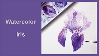 How to paint pruple iris in Watercolor 水彩鳶尾花