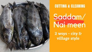 Saddam meen/ Nai meen / Fish cutting \u0026 cleaning 2 ways