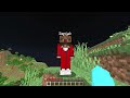 ich spiele minecraft als hilfreicher warden