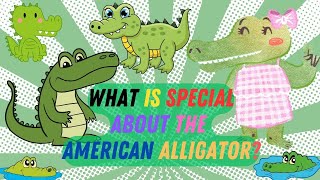 What is Special about the American Alligator?   |   Animal Videos for Kid