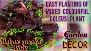 ✨Amazing Garden Decor using Coleus/കണ്ണാടി ചെടി 🍀🏵️💮