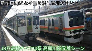 【置き換えはまだない？】JR八高線キハ110系 高麗川駅発着 小川町行•高崎行