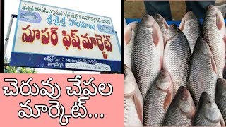 Vizag fish market near RTC Complex