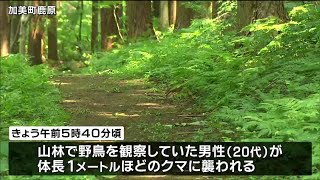 野鳥観察中の20代男性　クマに襲われケガ　宮城・加美町