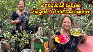 Flowers for God, Sweet lemons for my friend. భగవంతుడికి పువ్వులు మా ఫ్రెండ్ కి నిమ్మకాయలు