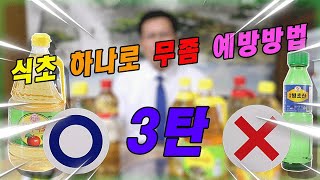 무좀 제대로된 예방법과 빙초산 사용법까지!! [3탄]