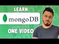 MongoDB Tutorial in 1 Hour (2024) 🍃