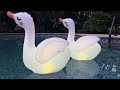 swan floating pool decorations and evening pool party lights