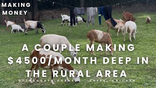 A COUPLE MAKING $4500 /MONTH DOING GOATS 🐐, PIGS 🐷 SHEEP 🐑 & CHICKENS