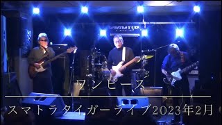 ワンピース（ベンチャーズカバーバンド）14年ぶりにスマトラタイガーライブ　2023年2月