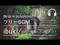 【snsやイベントで使えるフリー音楽】ibuki birds in polyphonium