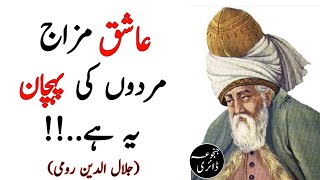 RUMI || Spiritual Thoughts || Sufiyana Aqwal || Rumi Quotes In Urdu Hindi || Janjua Diary