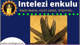 Intelezi enkulu | Impundu | Iqhomololo | uMabululu