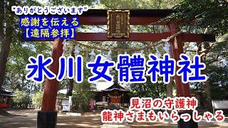 【新緑の氷川女體神社】龍神様もいらっしゃる🐉大宮氷川神社と並ぶ武蔵一宮✨｜Beautiful Japanese scenery.Hikawa nyotai Shrine.