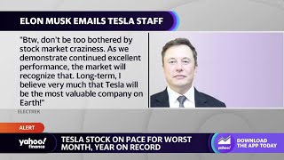 Tesla CEO Elon Musk tells workers not to worry about 'stock market craziness'