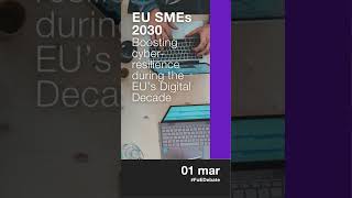 0612   EU SMEs 2030 Google   IG story