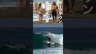 サーフタウン砂辺の有名住人達 #short #surfing #サーフィン #台風