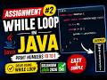 188. Assignment - Solve program two using while loop in Java (Selenium Java 2026)