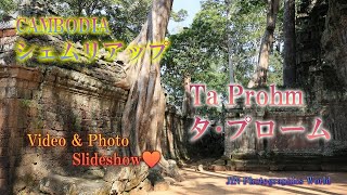 シェムリアップ観光で絶対行くべき「タ・プローム遺跡」💛【Ta Prohm ruins: a must-see when visiting Siem Reap】🤩