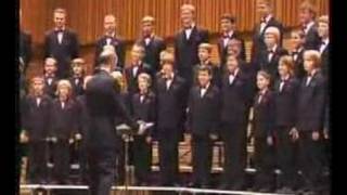 Boys Choir Dagilelis Z.R. Stroope - Resonet In Laudibus