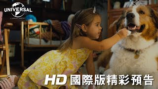 【狗狗的旅程】 國際版精彩預告 - 5月17日 暖心獻映