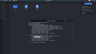hacking with python part 2(mac change with variable use)