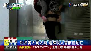 始源愛犬闖大禍電梯咬人害敗血症亡