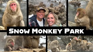 What is Jigokudani Snow Monkey Park in Nagano Japan and why should you visit? | Our Experience