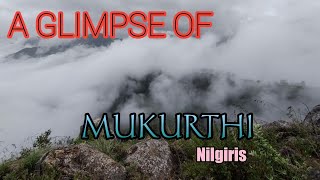 A GLIMPSE OF MUKURTHI | MUKURTHI DAM | NILGIRIS | S S S COOKING \u0026 VLOGS |