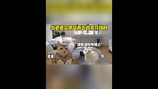 当老婆突然给了我五百块钱的零花钱 #猫meme #猫meme小剧场  #cat #故事 #funny  #貓 #pets #搞笑  #迷恋 #cute #貓咪 #迷恋 #貓咪 #萌宠