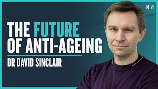 PROFESSOR DAVID SINCLAIR | Can Humans Live For 1000 Years?