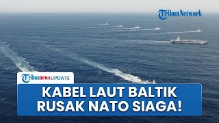 11 Kabel Bawah Laut Baltik Rusak Misterius, Negara Anggota Serukan NATO Unjuk Kekuatan, Gertak Rusia