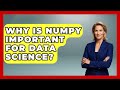 Why Is NumPy Important for Data Science? | Python Code School News