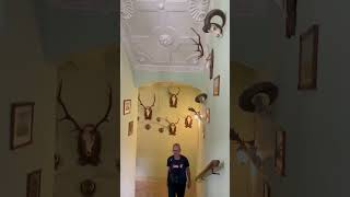 ZÁMEK LEMBERK #shorts #shortvideo #youtubeshorts #lemberk #zamek #castle #czechrepublic #history