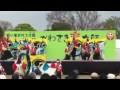 ぞっこん町田 98 2017 かわさき楽大師厄除よさこい