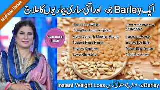 BARLEY HEALTH BENEFITS | INSTANT WEIGHT LOSS | IMMUNE SYSTEM | STRONG BONES, DIABETES BY DR. BILQUIS