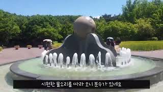 태전동 엘리트어린이집 대구수목원🌳