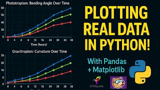 Real World Data Visualization | Python Editor | PictoBlox