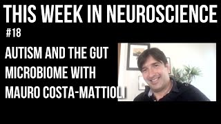 TWiN 18: Autism and the gut microbiome with Mauro Costa-Mattioli