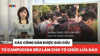 Gần 100% công dân Việt Nam được giải cứu từ Campuchia đều làm việc cho các tổ chức lừa đảo